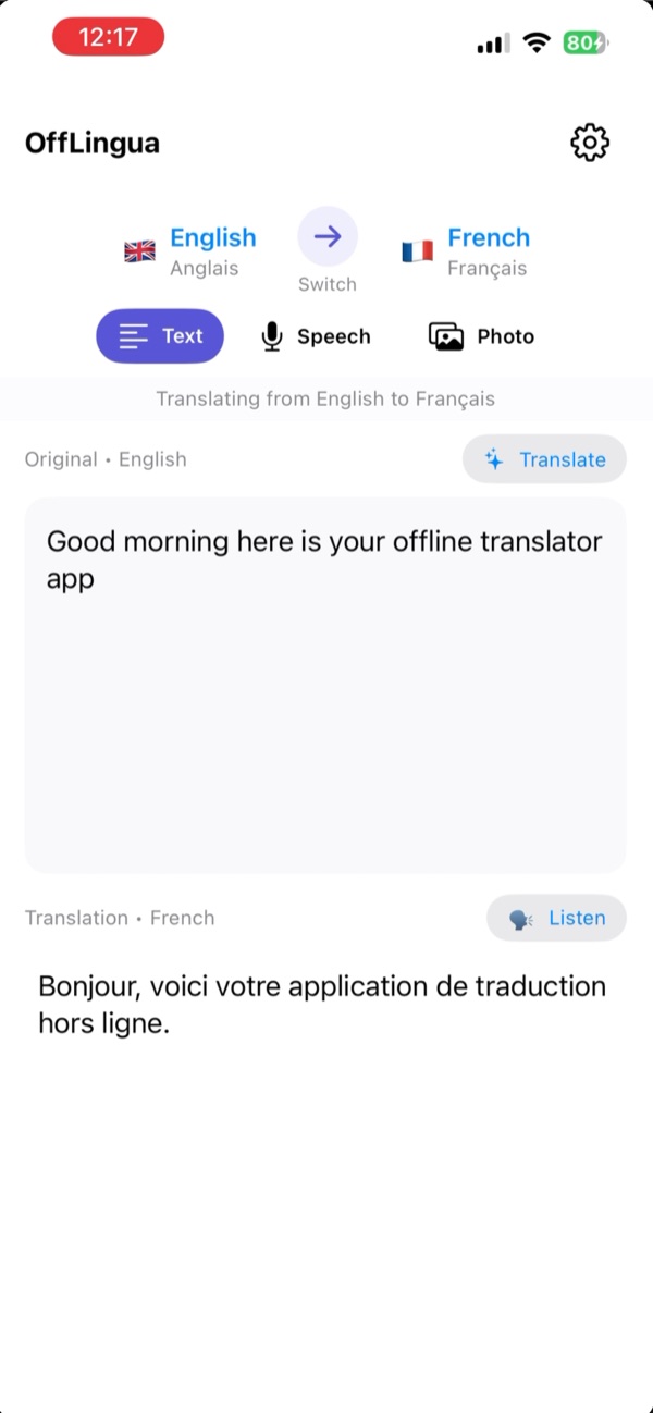 Translation interface on iPhone